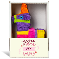 You Are My World Piñatagram