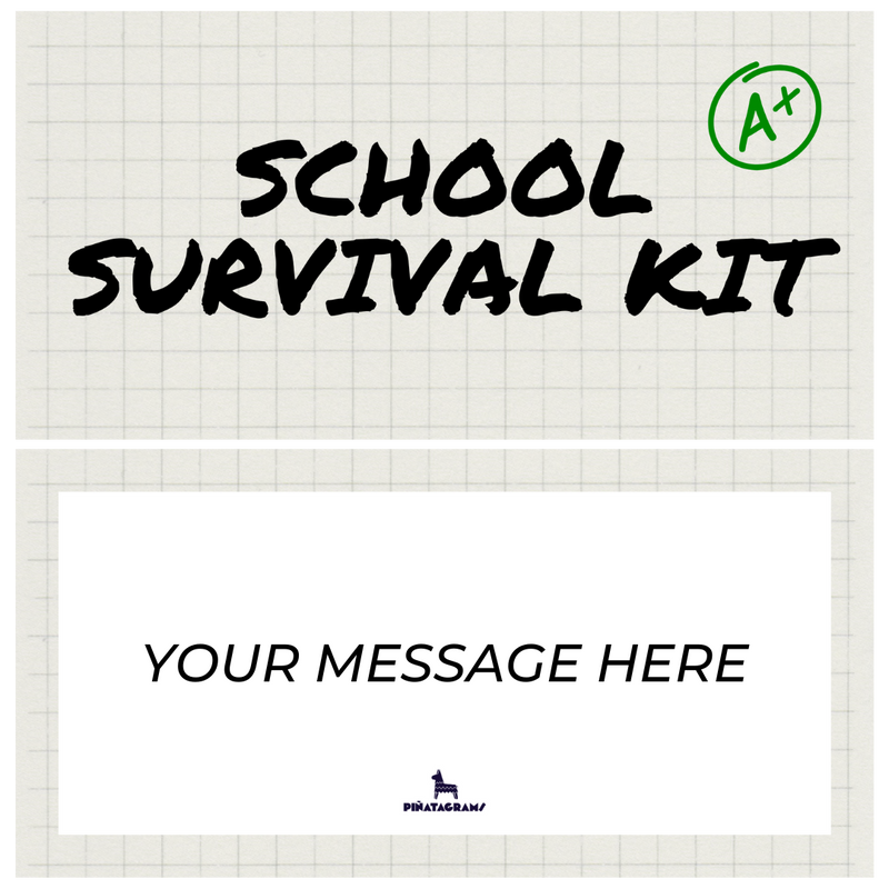 School Survival Kit Piñatagram (School Fun Pack)